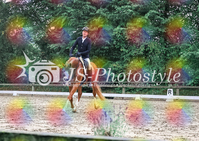 20250727_Dressurpferdeprfg_Kl.A-157 | JS-Photostyle - Sport-/Portrait- & Eventfotografie