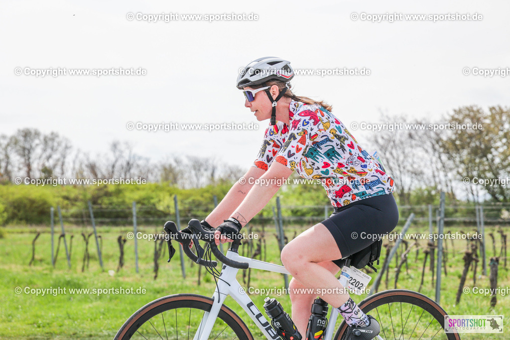 6R3A1428 | Neusiedlersee Radmarathon #neusiedlerseeradmarathon #neusiedlersee #nrm26 #yourpictrs #sportshot_your_pictrs