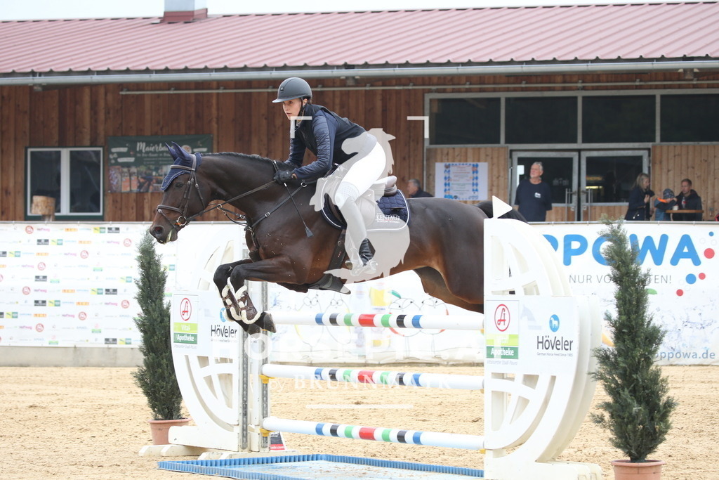 DL2Q4023 | Willkommen bei Brunnmayr - Design & Fotografie – Ihrem Spezialisten für Reitturniere und Pferdeveranstaltungen in Oberösterreich, Salzburg und Bayern! Seit über 17 Jahren sind wir leidenschaftlich dabei.