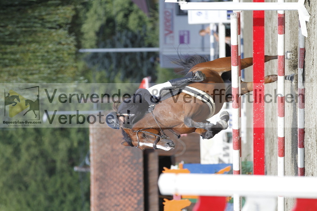 _MG_3635 | equestrian-live-com