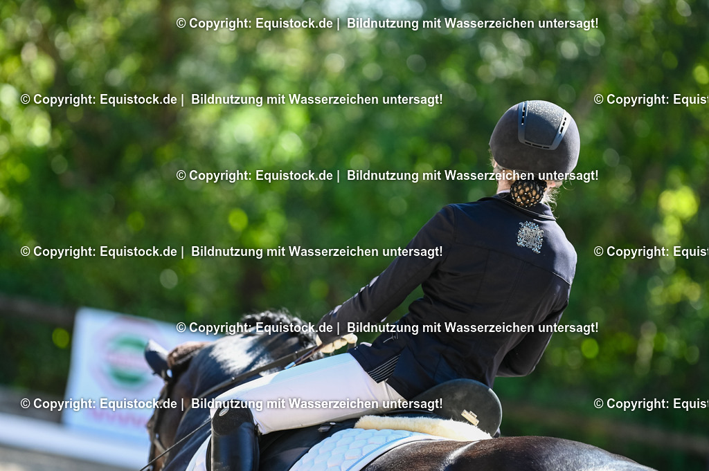 20230908_06_Dressur-L-Trense_0559 | equistock