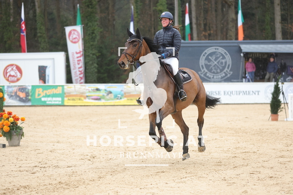 0P6A0209 | Willkommen bei Brunnmayr - Design & Fotografie – Ihrem Spezialisten für Reitturniere und Pferdeveranstaltungen in Oberösterreich, Salzburg und Bayern! Seit über 17 Jahren sind wir leidenschaftlich dabei.