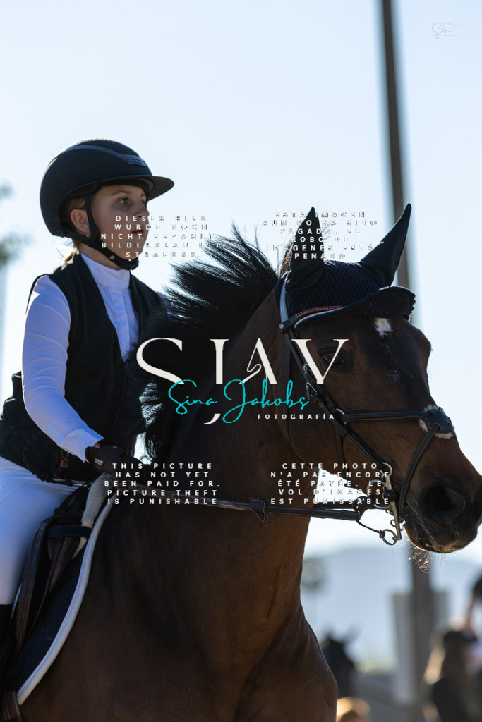 IMG_2104 | s-jay-photography - Realisiert mit Pictrs.com