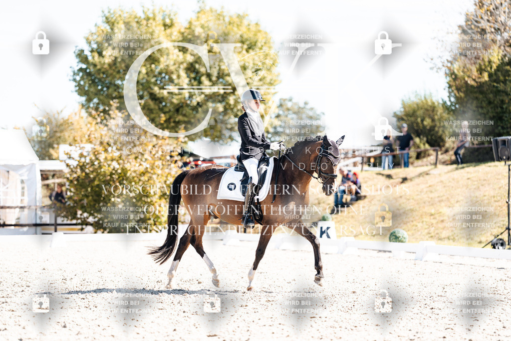 CK909630 | Turnierfotografie Pferdefotografie Trier Rheinland-Pfalz Pferdesport Reitsport Tierfotografie Sportfotografie Pferdevideo Pferdevideografie Equestrianvideography equestrianphotography  - Realisiert mit Pictrs.com