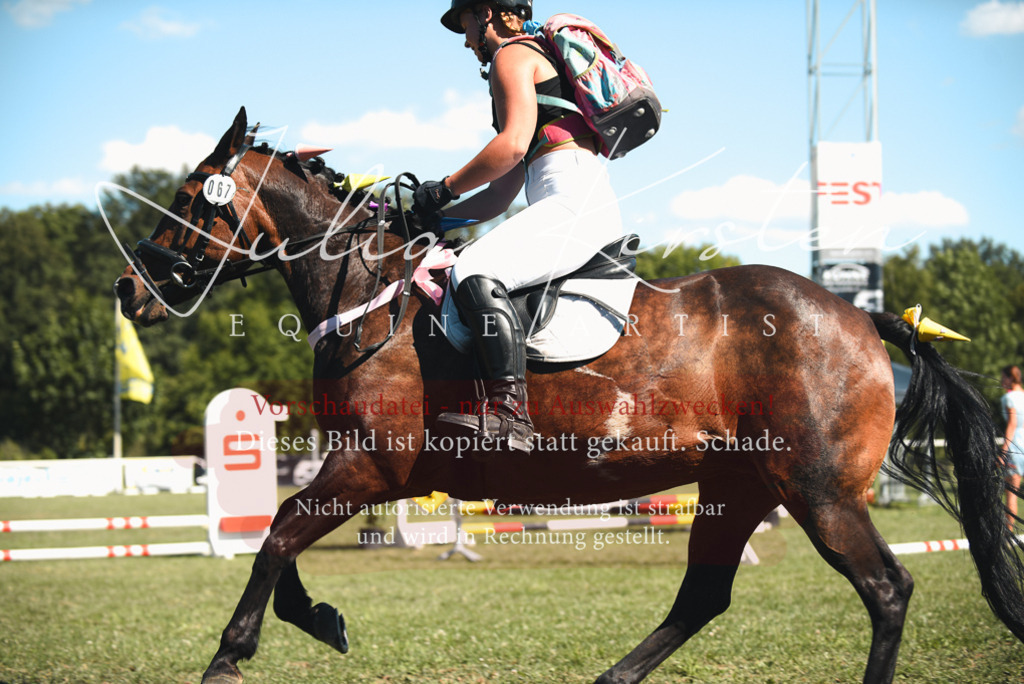 DSC_7430 | Pferde- und Turnierfotografie in Westsachsen. Pferdeportraits, Auftragszeichnungen und intuitive Kunst.