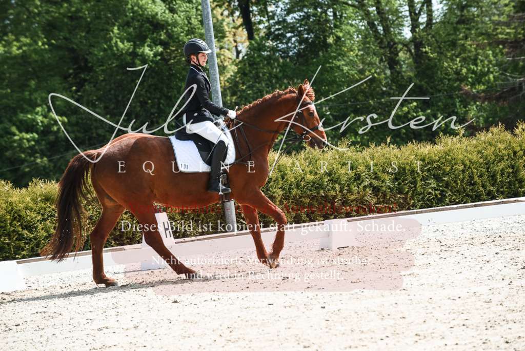 20230518_JK-Röhrsdorf-11-0452 | Pferde- und Turnierfotografie in Westsachsen. Pferdeportraits, Auftragszeichnungen und intuitive Kunst.