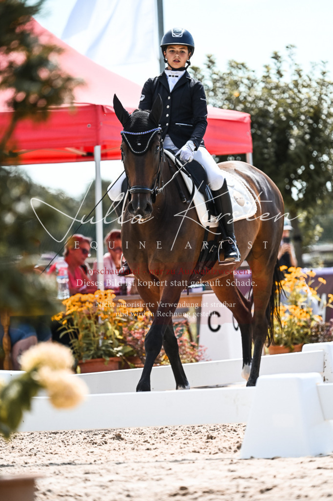 DSC_5759 | Pferde- und Turnierfotografie in Westsachsen. Pferdeportraits, Auftragszeichnungen und intuitive Kunst.
