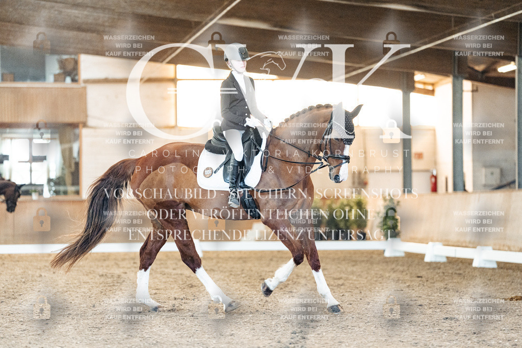 CK906742 | Turnierfotografie Pferdefotografie Trier Rheinland-Pfalz Pferdesport Reitsport Tierfotografie Sportfotografie Pferdevideo Pferdevideografie Equestrianvideography equestrianphotography  - Realized with Pictrs.com