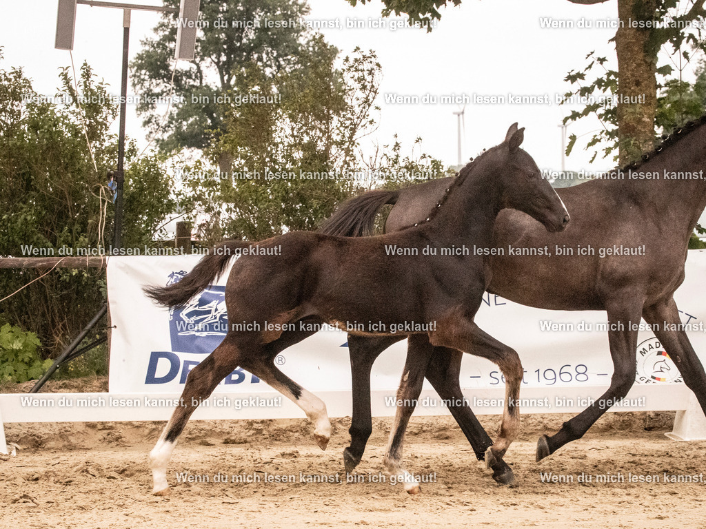 A10I1618 | photographylinaismer - Realisiert mit Pictrs.com