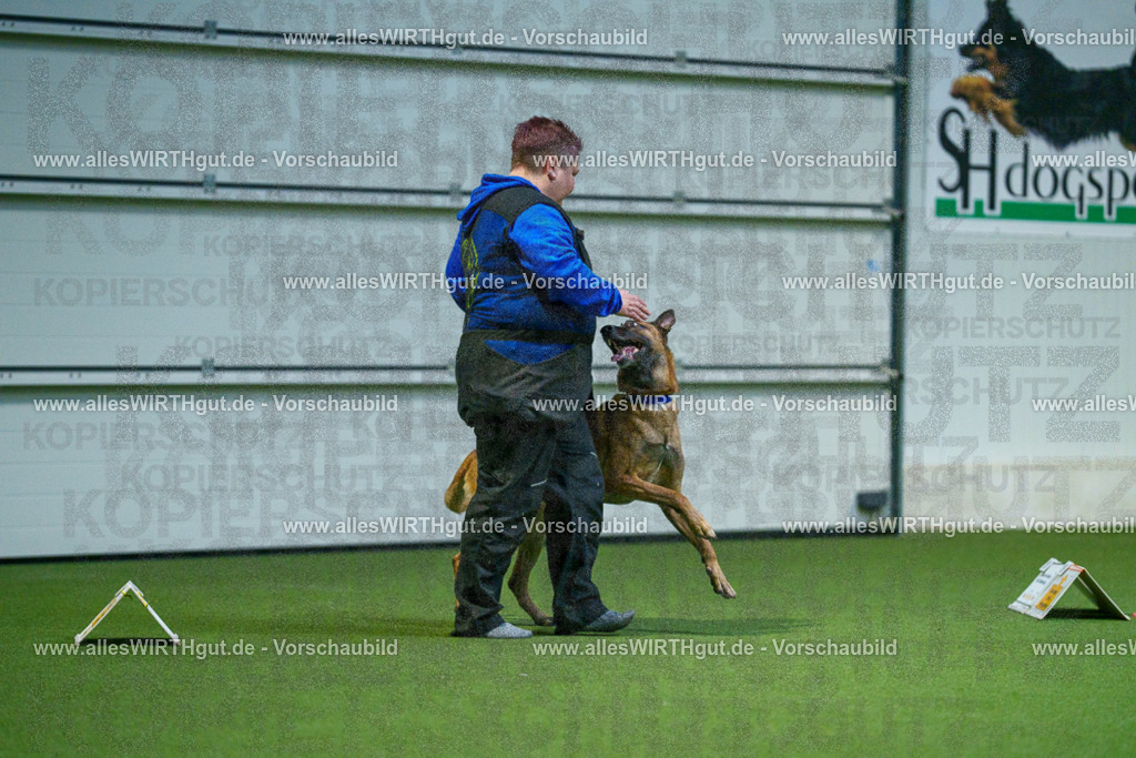 7R503771 | Professionelle Tierfotografie in Mönchengladbach von Daniel Wirth (allesWIRTHgut). Liebevolle & natürliche Bilder von Hunden & Katzen für unvergessliche Erinnerungen.