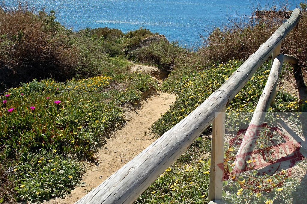 Coastal path leading to blue ocean in Algarve, Portugal | Winding dirt path descends towards the shimmering blue ocean, lined with wildflowers and a rustic wooden railing - Realized with Pictrs.com