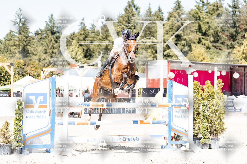 CK900544 | Turnierfotografie Pferdefotografie Trier Rheinland-Pfalz Pferdesport Reitsport Tierfotografie Sportfotografie Pferdevideo Pferdevideografie Equestrianvideography equestrianphotography  - Realisiert mit Pictrs.com