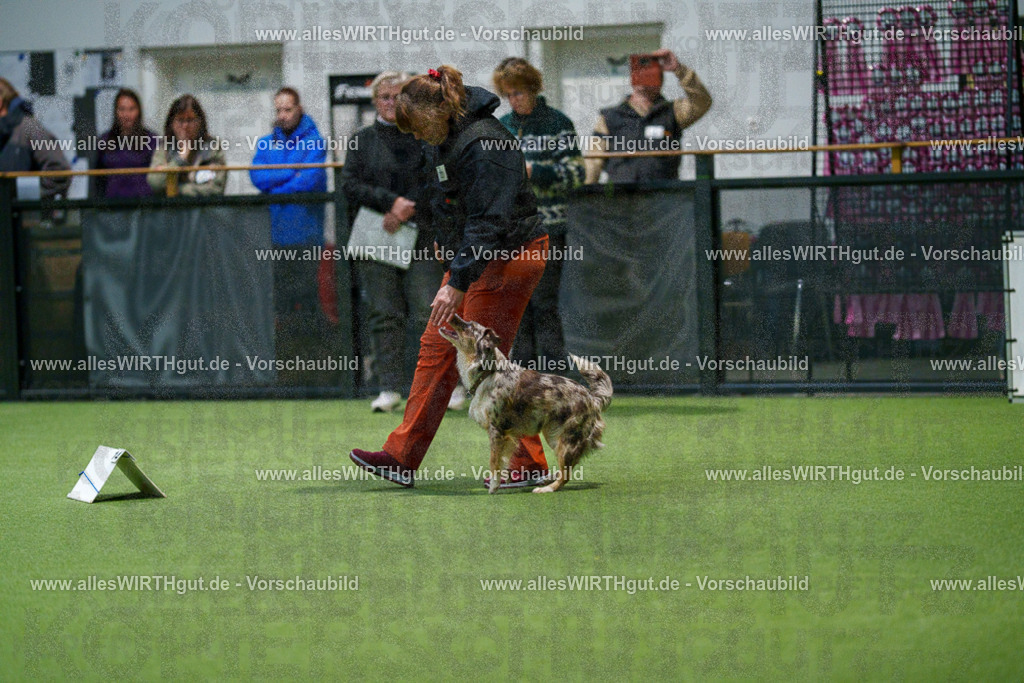 7R504624 | Professionelle Tierfotografie in Mönchengladbach von Daniel Wirth (allesWIRTHgut). Liebevolle & natürliche Bilder von Hunden & Katzen für unvergessliche Erinnerungen.