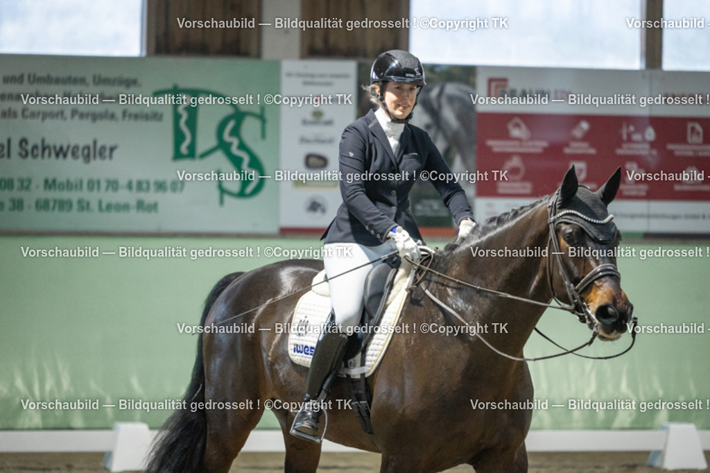 _D5A3655 | Emotionale Pferde- & People-Fotografie rund um Heidelberg, Leimen & Umgebung. Natürliche Fotos von Pferd, Mensch & Familie. Jetzt Termin sichern!