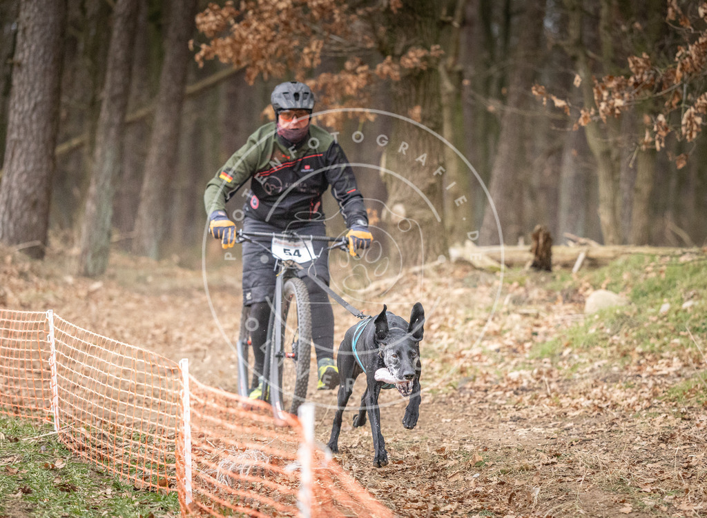 Pfotenfotografie_DV3A1492 | Hundefotografie, Tierfotograf, Pfotenfotografie, Fotoshooting Hund, Hunde Portrait, Hundesport, Hundeportraits, Heideshooting, Hunde, Sportfotograf, Hundefotograf, Turnierhundsport, THS,  - Realisiert mit Pictrs.com