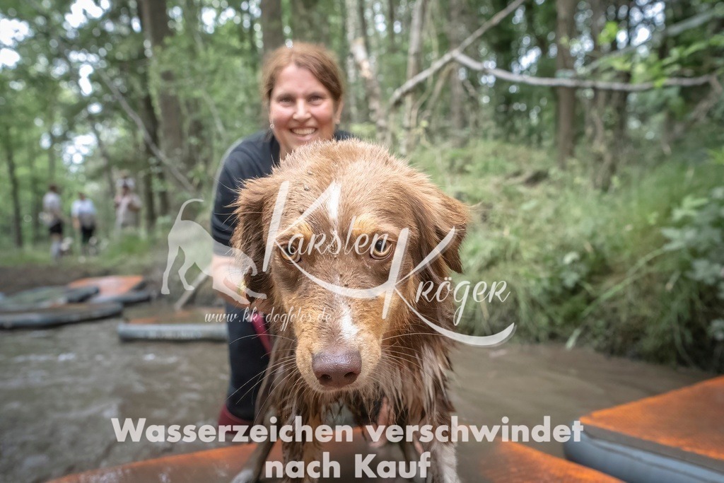 1212_ZZ97832T | kk-dogfotos