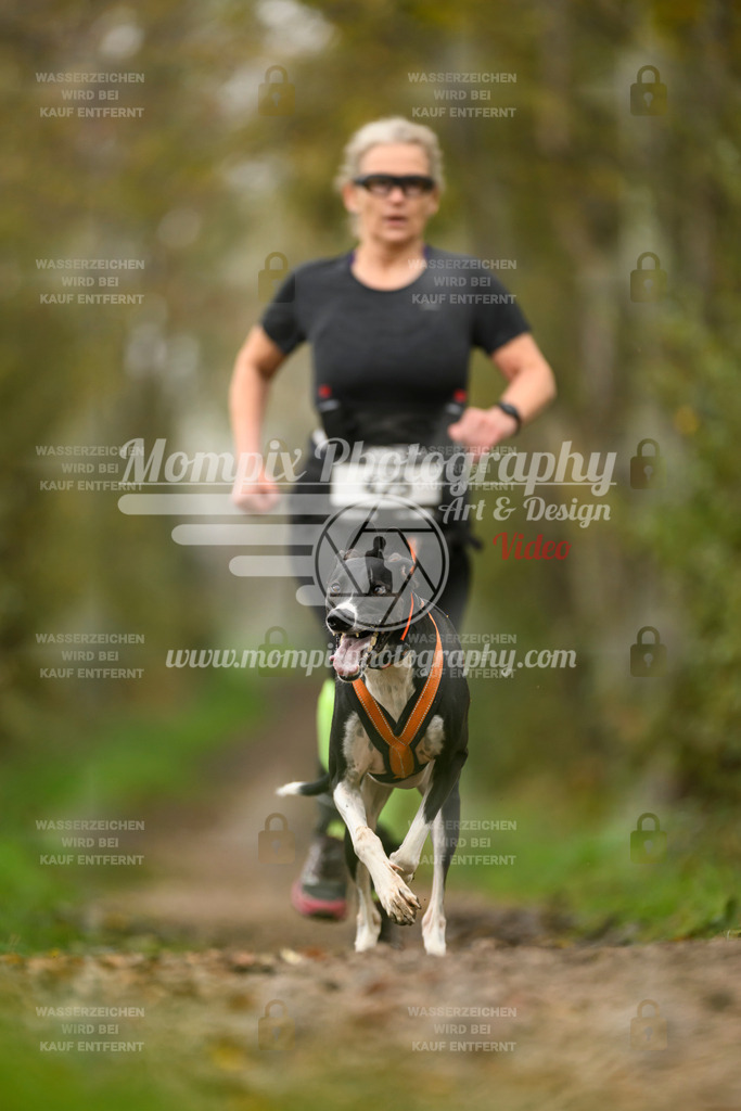 MompixPhotography_20TSB_E6_Run-128 | PayLife
