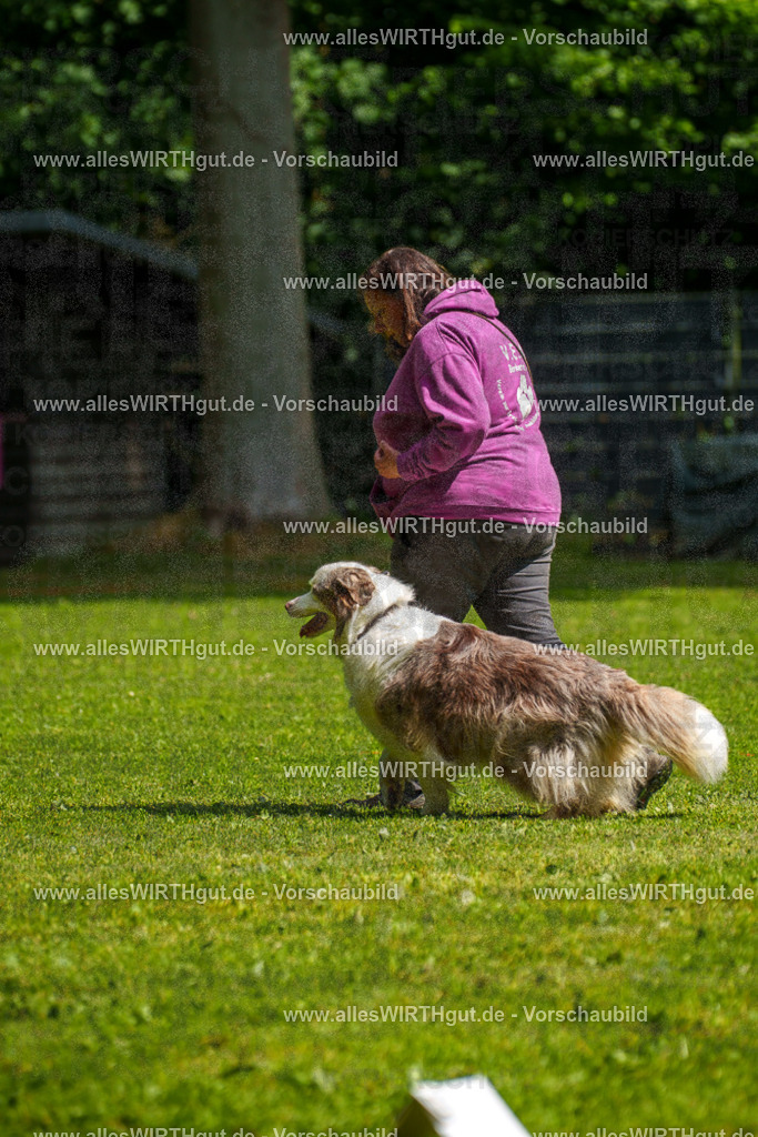 @allesWIRTHgut_Tierfotografie - www.allesWIRTHgut.de - 7R503276 | Professionelle Tierfotografie in Mönchengladbach von Daniel Wirth (allesWIRTHgut). Liebevolle & natürliche Bilder von Hunden & Katzen für unvergessliche Erinnerungen.