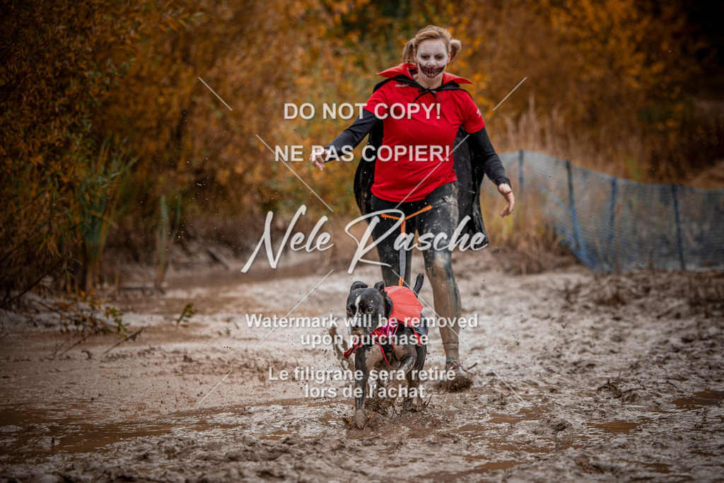 nelerasche_Creepy2025_Sa11-12_403 | nelerasche