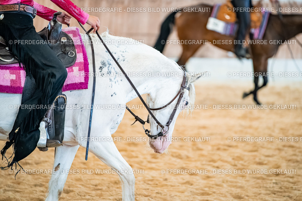 DSC00399 | Pferdegrafie