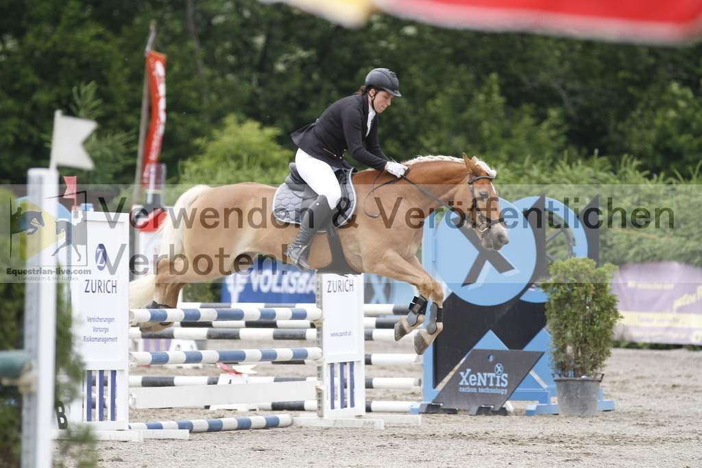 _MG_6248 | equestrian-live-com
