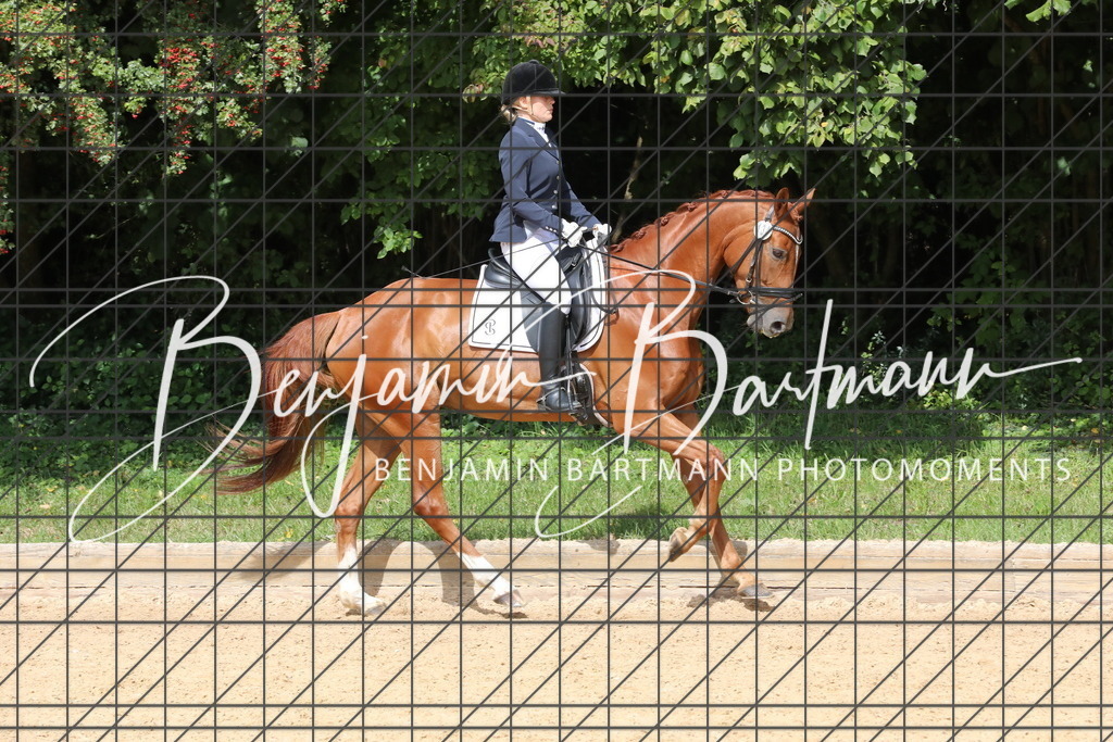 AZ2A2336 | Benjamin Bartmann Photomoments