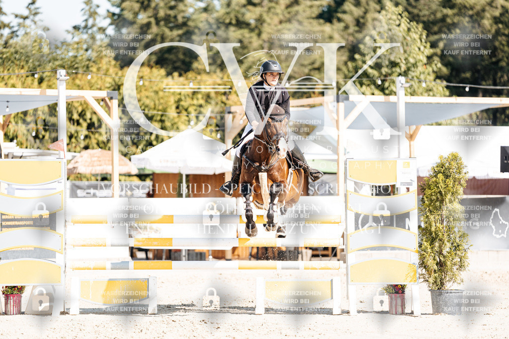 CK902529 | Turnierfotografie Pferdefotografie Trier Rheinland-Pfalz Pferdesport Reitsport Tierfotografie Sportfotografie Pferdevideo Pferdevideografie Equestrianvideography equestrianphotography  - Realisiert mit Pictrs.com