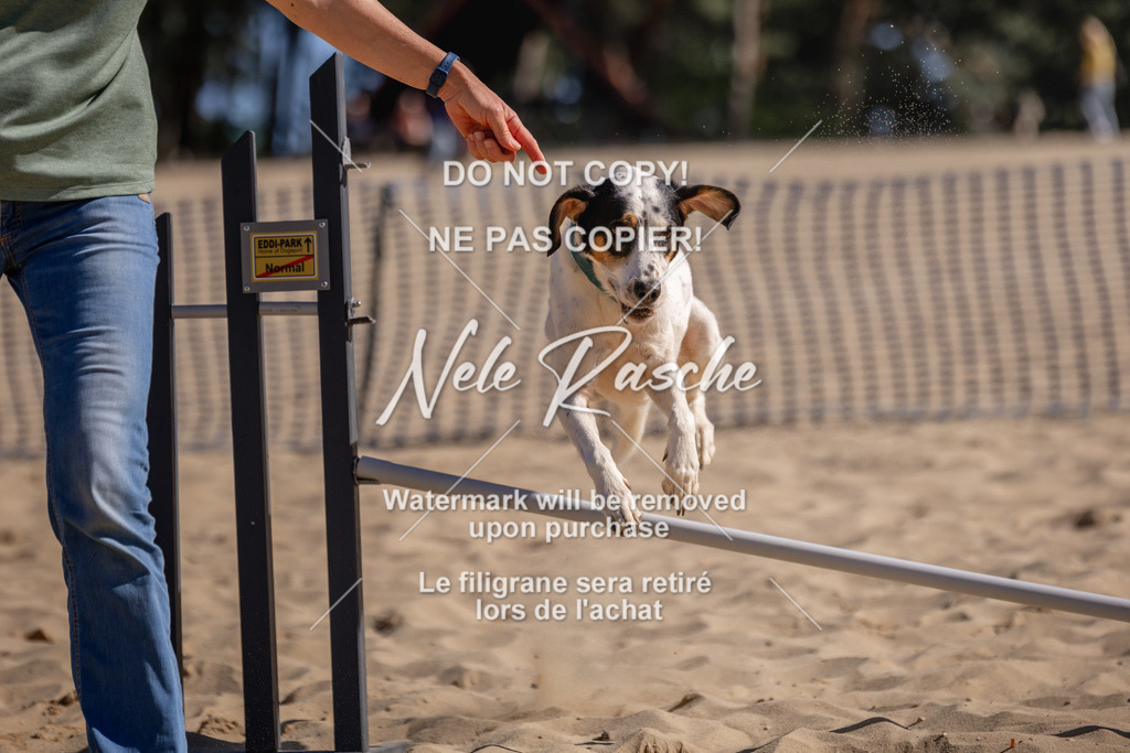 NR__0787 | nelerasche