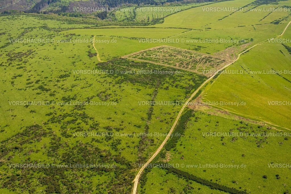 Schleiden240502123DreibornerHochfläche | Luftbild, Waldgebiet und Dreiborner Hochfläche Naturschutzgebiet NSG zwischen Scheuren und Dreiborn, Wiesen und Felder mit Muster, Nationalpark Eifel, Dreiborn, Schleiden, Nordrhein-Westfalen, Deutschland