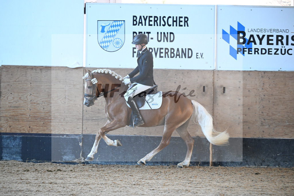 Kat-Nr. 7 Narcotic v. Nakuri_ZG Hackfurt u Weiser_43250457 | hf-fotografie - Realisiert mit Pictrs.com