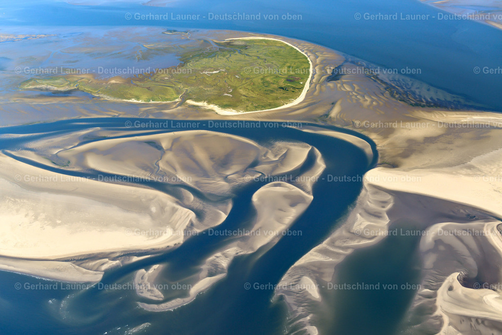 3621221 | Vogelschutzgebiet Memmert, Nationalpark Niedersächsisches Wattenmeer