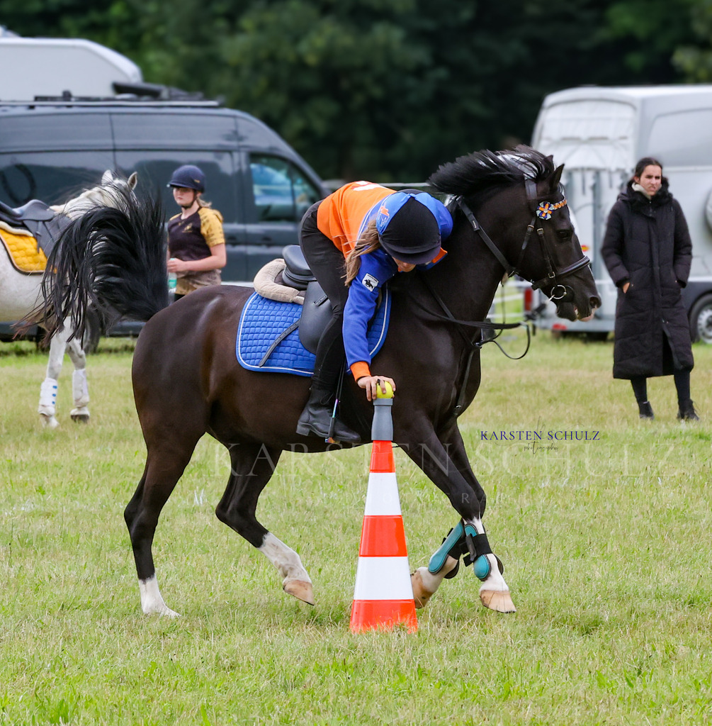 1B3A1607 | Reitsport Reiten