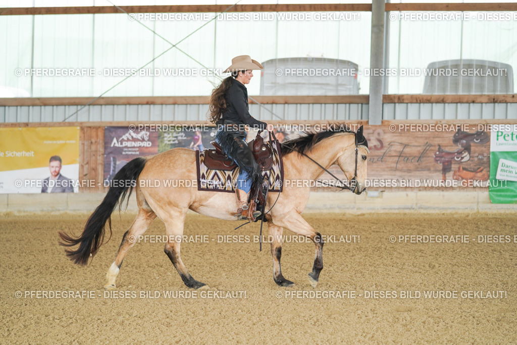 DSC02514 | Pferdegrafie