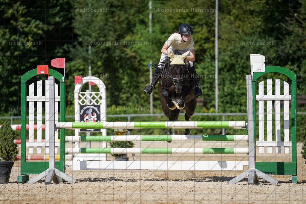 20240824-FAH08408 | Thierhaupten 2024, Bayerisches Landesponyturnier, Turnierbilder, Ponybilder, Turnierfotografen Bayern, Fotoagentur Herrmann