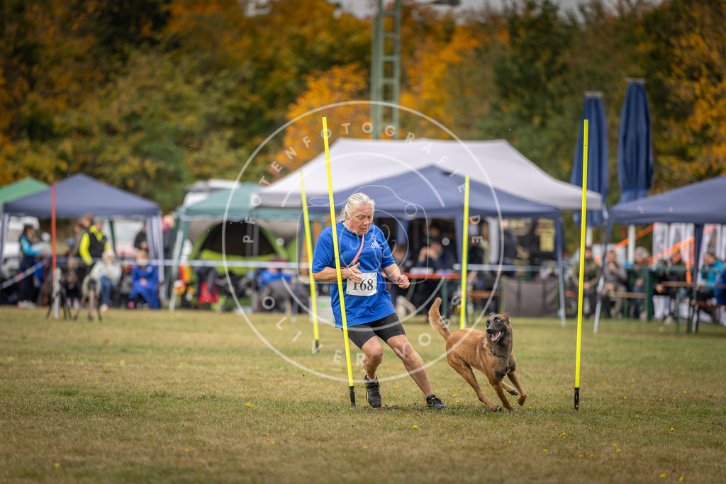 Pfotenfotografie_DV3A5932 | Hundefotografie, Tierfotograf, Pfotenfotografie, Fotoshooting Hund, Hunde Portrait, Hundesport, Hundeportraits, Heideshooting, Hunde, Sportfotograf, Hundefotograf, Turnierhundsport, THS,  - Realisiert mit Pictrs.com