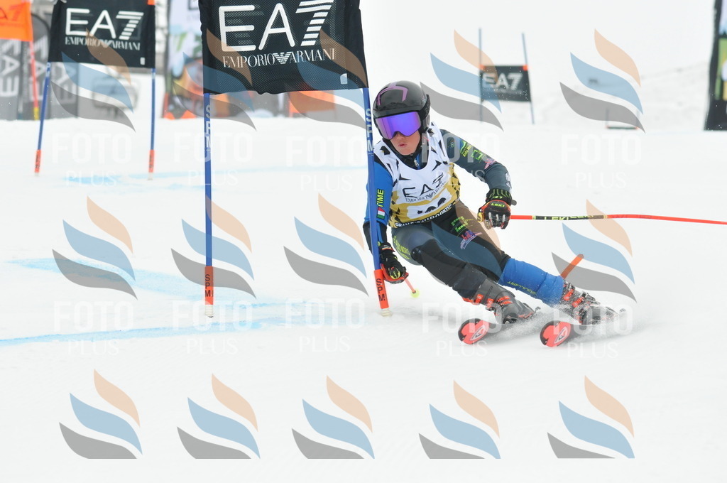 DSC_8518 | holidayphoto