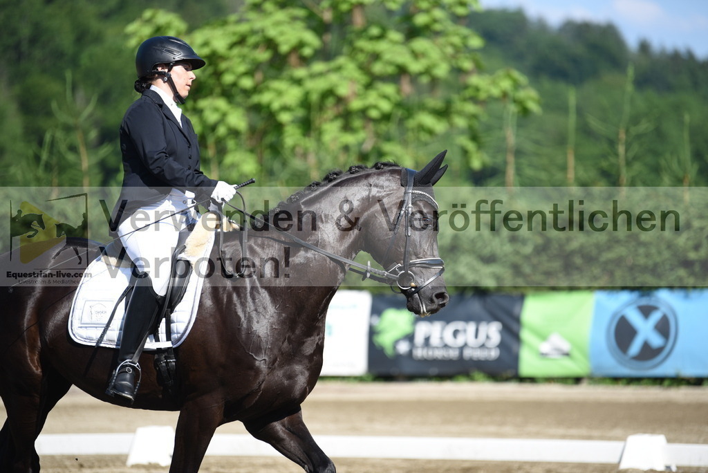 DSC_7503 | equestrian-live-com