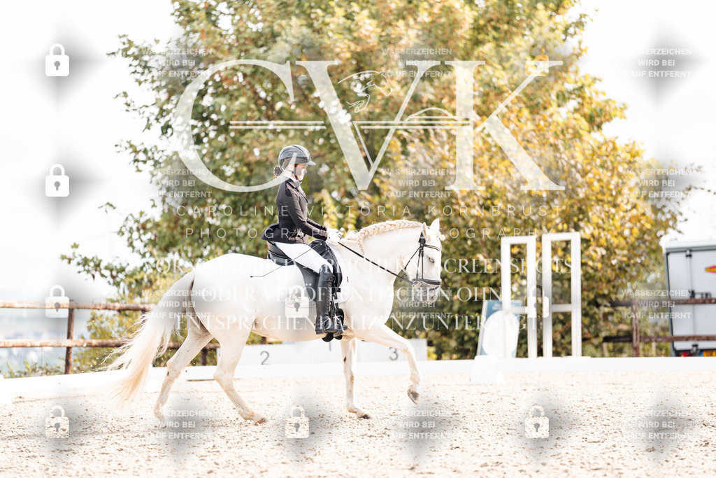 CK901220 | Turnierfotografie Pferdefotografie Trier Rheinland-Pfalz Pferdesport Reitsport Tierfotografie Sportfotografie Pferdevideo Pferdevideografie Equestrianvideography equestrianphotography  - Realisiert mit Pictrs.com