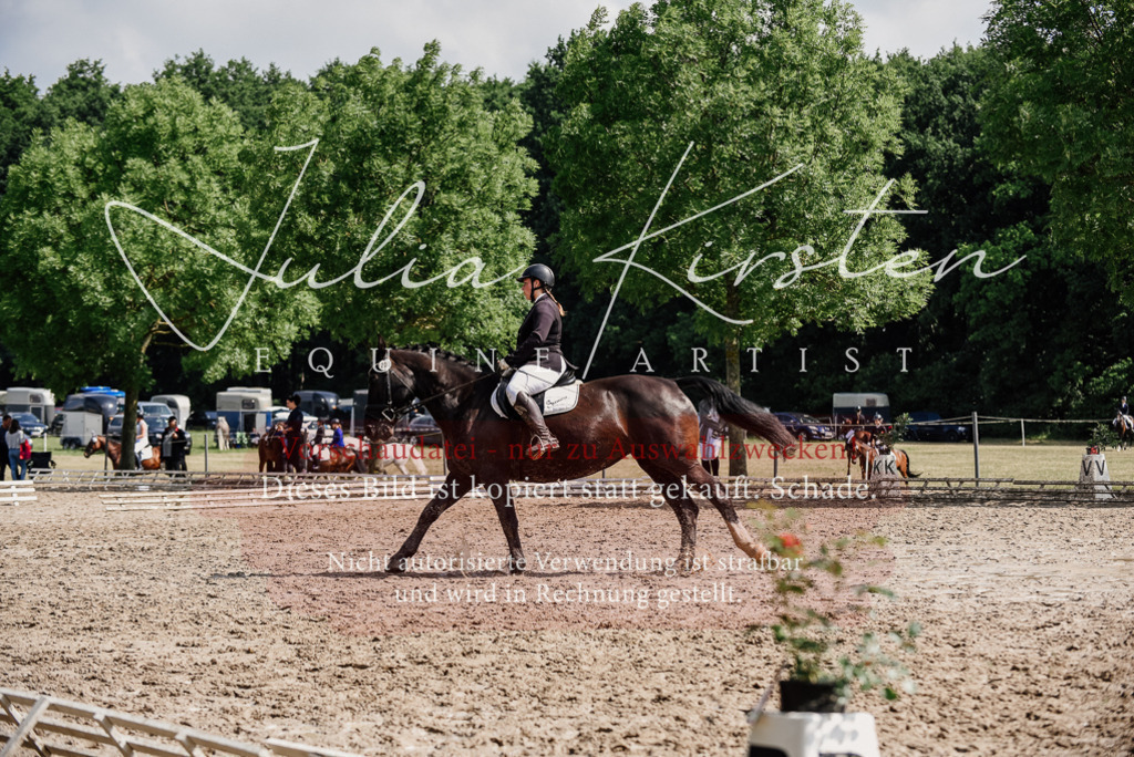 DSC_0230 | Pferde- und Turnierfotografie in Westsachsen. Pferdeportraits, Auftragszeichnungen und intuitive Kunst.