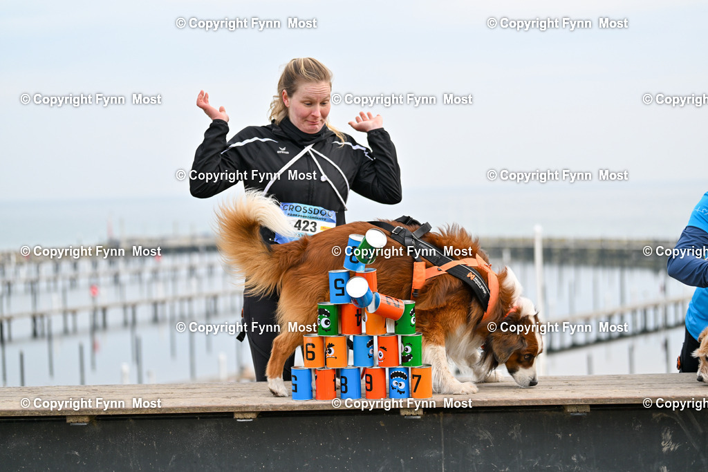 DSC_4115 | Hallo und herzlich Willkommen auf meiner Shop-Seite Fynn Most.

Ich wünsche Dir viel Spaß beim stöbern durch die Bilder, wenn Du Fragen hast oder Bilder vermisst, kannst du mir gerne eine Nachricht schreiben. - Realisiert mit Pictrs.com