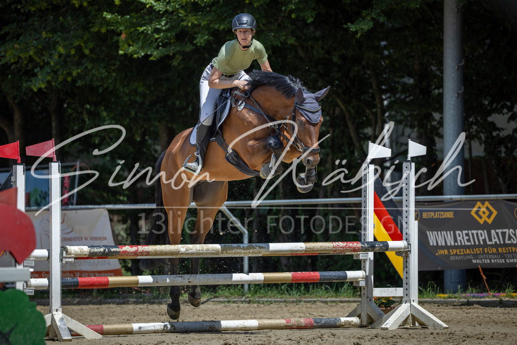 20260704-_3LI8560 | Tierfotografie Pferde, Hunde, Katzen, Haustiere.
Turnierfotografie Reitturniere, Reiten, Springreiten, Dressur in Hanau, dem Main-Kinzig-Kreis und dem Rhein-Main- Gebiet um Frankfurt