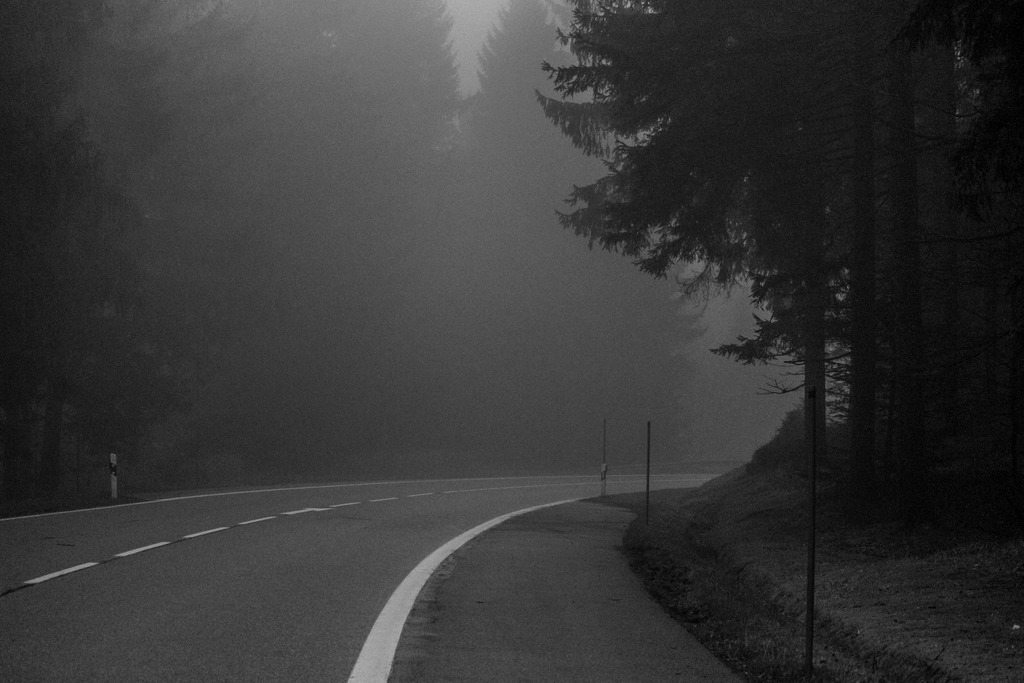 IMG_1473 | ehrlichefotos - Realisiert mit Pictrs.com