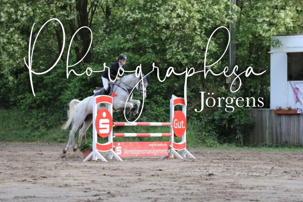 IMG_9067 | photographesa-joergens - Realisiert mit Pictrs.com