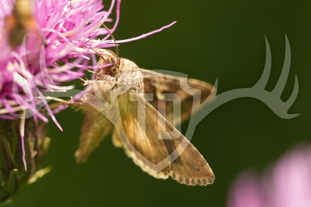 Image00206 | Fotogalerie der Treibjagd im Dunkelwald - Dein MTB Etappenrennen im Erzgebirge - Realisiert mit Pictrs.com