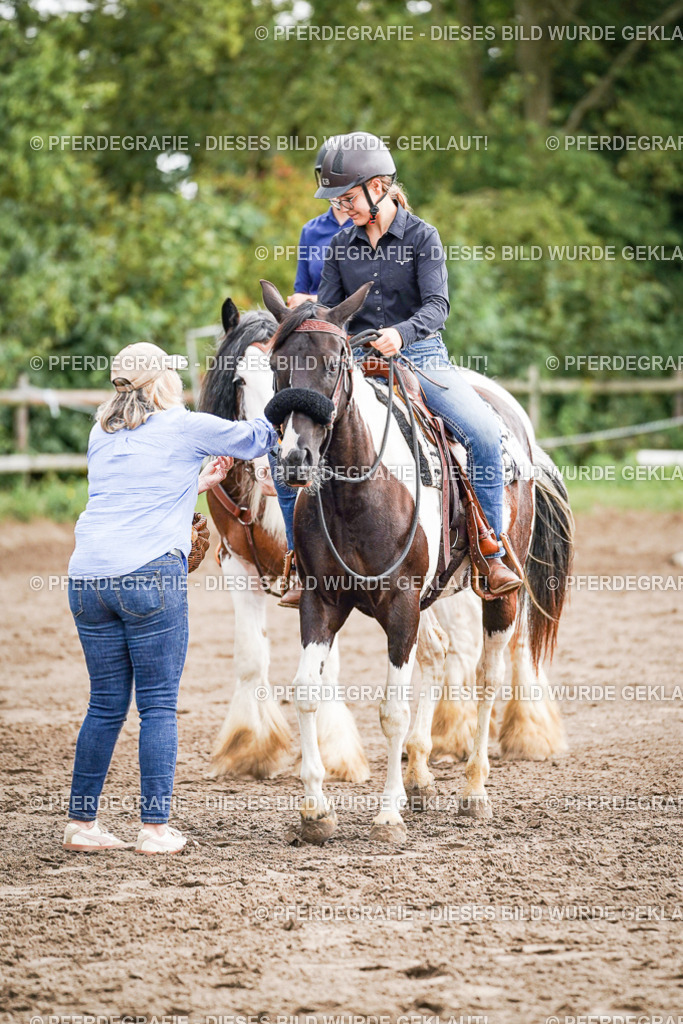 DSC07853 | Pferdegrafie