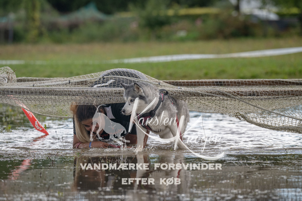 1434_ZZ90272 | kk-dogfotos