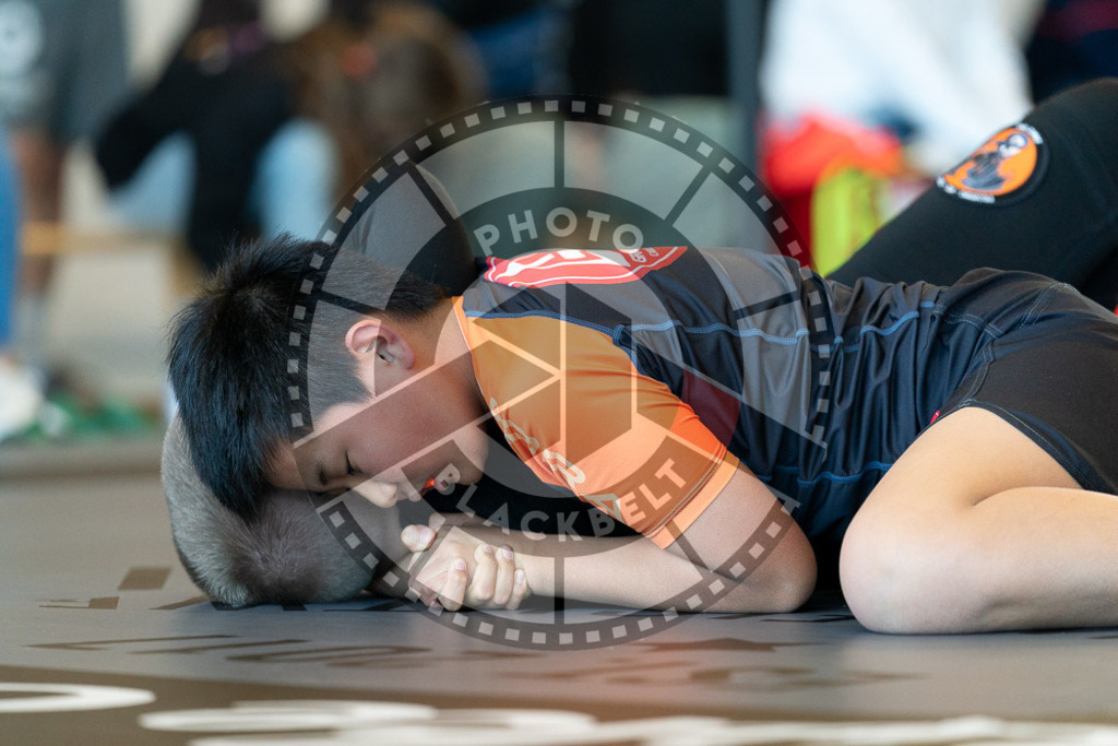 20250329PBB3103 | Fighters compete during the International Luta Livre (ILLCS) Germany IX Spring 2025 Competition spring on March 29, 2025 in Hannover, Germany.© Chiara Dazi