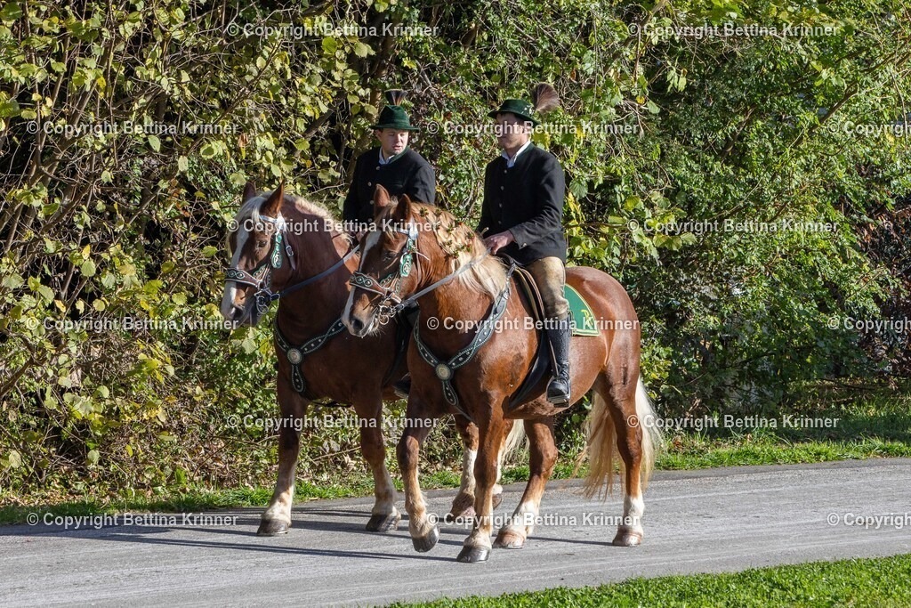 LBT24-293 | foto-bettina-krinner - Realisiert mit Pictrs.com