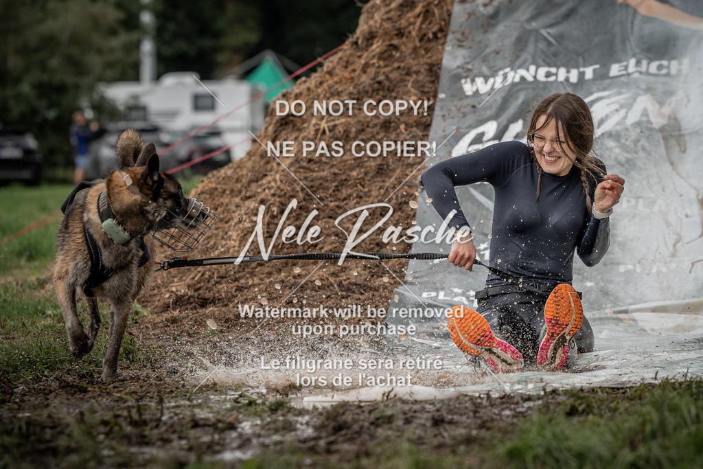 nelerasche_Wingst_Sa1300-1330_278 | nelerasche