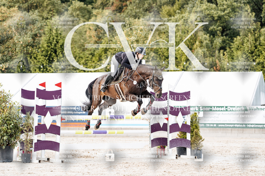 CK903787 | Turnierfotografie Pferdefotografie Trier Rheinland-Pfalz Pferdesport Reitsport Tierfotografie Sportfotografie Pferdevideo Pferdevideografie Equestrianvideography equestrianphotography  - Realisiert mit Pictrs.com